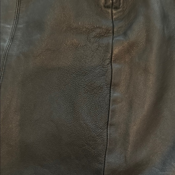 Danier Mini Skirt - Picture 4 of 8